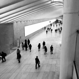 personas fisicas actividad empresarial