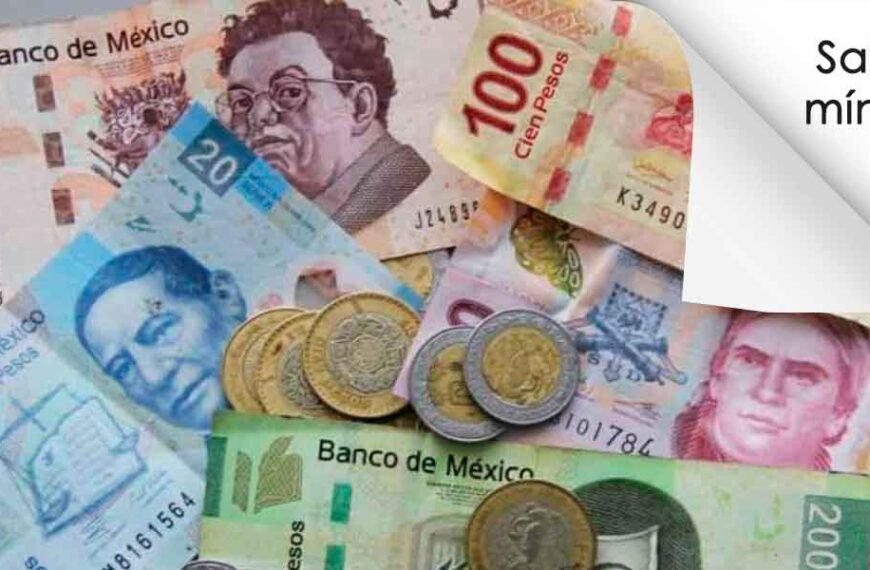 tabla de salarios minimos 2022